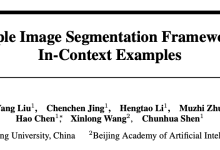 SINE：上下文示例驱动，打造真正的通用分割模型 | NeurIPS'24-小狮博客