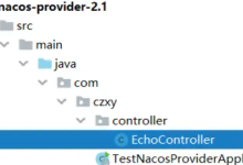 Nacos 高级详解:提升你的开发和部署效率-小狮博客