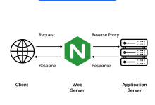Nginx 高性能架构解析-小狮博客