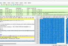 导出 wireshark 网络包二进制数据的三种方法-小狮博客