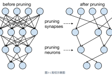 模型剪枝：剪枝粒度、剪枝标准、剪枝时机、剪枝频率-小狮博客
