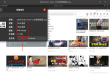 ffmpeg简易播放器(1)--了解视频格式-小狮博客