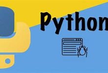 python爬虫有什么用处？解锁互联网宝藏-小狮博客