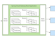 Spring Cloud Gateway：构建高效微服务网关的利器-小狮博客