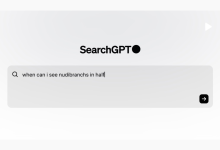 挑战谷歌?OpenAI开启SearchGPT内测,开启对话式搜索!-小狮博客