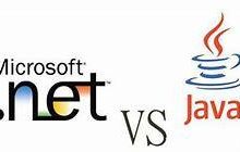 .net开发和java开发的区别？初学者快速指南-小狮博客