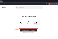 通过Ollama本地部署DeepSeek R1以及简单使用的教程(超详细)-小狮博客
