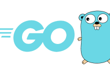 Go语言驭支付风云：打造灵活智能的动态支付策略-小狮博客