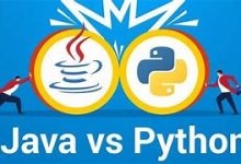 python和java的区别:选择你的编程武器-小狮博客