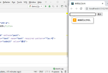 HTML5表单自动验证-小狮博客