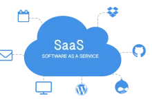 SaaS：软件即服务的革命性软件交付模式-小狮博客