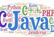 新手学编程该怎么入门？开启代码世界的第一步-小狮博客