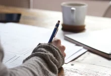 技术人如何加速成长?提升你的思维和学习方式-小狮博客