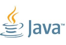 Java 的分类与发展方向:从经典到未来-小狮博客