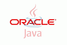 Java 中的 Mapper:连接对象与数据的桥梁-小狮博客