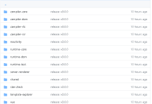 Vue3.0正式发布，本次发布所有总结，一起看看!-小狮博客