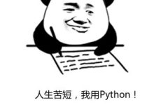 Python--pytest测试框架入门详解-小狮博客