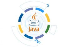 Java 软件开发就业前景:历久弥新,未来可期-小狮博客