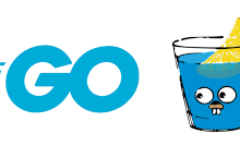 GIN和Echo：选择适合您的Web开发需求-小狮博客