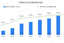 2024中国开发者画像洞察研究报告:鸿蒙生态大爆发,32%开发者已盯上这匹“黑马”!-小狮博客