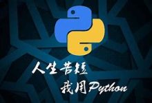 Python入门教程：详细指南-小狮博客