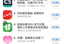 0基础靠 AI 实现年入百万!“小猫补光灯”开发者经验分享-小狮博客