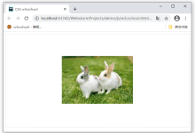 CSS怎么让图片居中？如何让图片居中显示-小狮博客