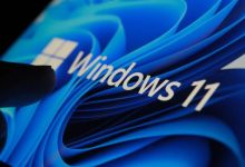 程序员必看!Windows、Mac、Linux,哪个系统更适合你学习编程?-小狮博客