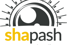 Shapash：可视化机器学习模型的利器-小狮博客