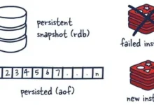 Redis持久化方案：保障数据安全与高性能-小狮博客