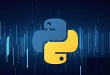 掌上代码世界:手机 Python 编程软件大揭秘-小狮博客