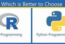 数据科学的两大支柱:r语言和python的区别-小狮博客
