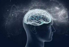 编程真的能改变人的思维方式吗？-小狮博客