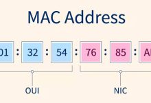 MAC地址：网络设备身份的识别符-小狮博客