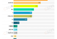 2024中国开发者调查报告!程序员们最常用的编程语言是Java!-小狮博客