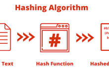 哈希算法:保护数据完整性与安全的魔力-小狮博客