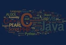 编程怎么学？踏上编程之旅：如何高效学习编程-小狮博客