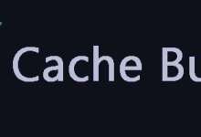 理解Vue的缓存清除机制:优化性能与避免问题-小狮博客