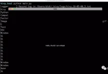 如何利用Python开发APP?-小狮博客
