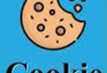 Cookie、Session和Token：身份验证与状态管理的三重较量-小狮博客