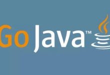 选择 Go 还是 Java:开发者该如何抉择?-小狮博客