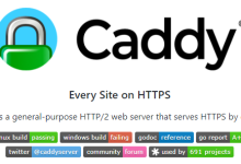 Caddy：现代化的Web服务器-小狮博客