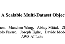 ScaleDet：AWS 基于标签相似性提出可扩展的多数据集目标检测器 | CVPR 2023-小狮博客