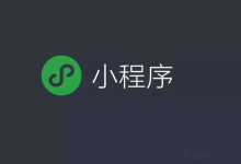 什么是微信小程序,微信小程序有什么用-小狮博客