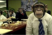 程序员跳槽好不好，记住这两条救你一生-小狮博客