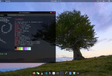 个人对Debian桌面系统的简单使用分享-小狮博客