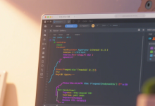 什么是 IDE？集成开发环境的功能与优势-小狮博客