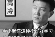 你适合哪门编程语言-小狮博客