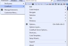 Visual Studio开发利器，CodeRush新版本发布v20.1.6——支持Blazor-小狮博客