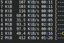 go语言实现终端里的倒计时-小狮博客
